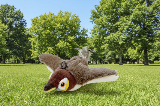 WhiskerWing™ Flappy Bird Toy